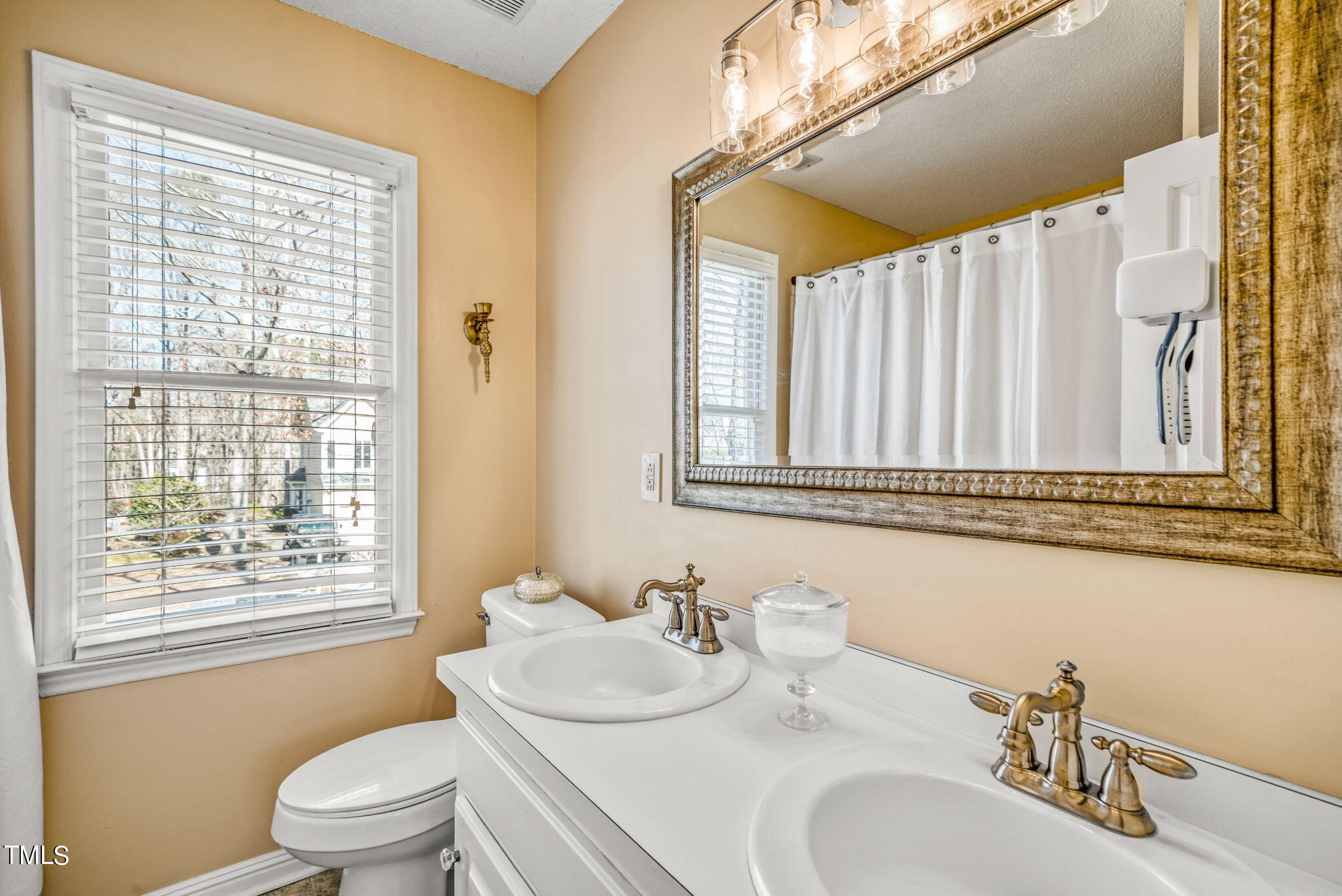 4117 Cary Oaks Drive Apex, NC 27539 - Photo 24 of 38 a bathroom with a granite countertop sink and a mirror with toilet