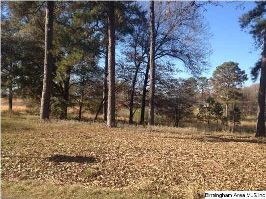 1412 Eastern Valley Road, Unit 1 3ACRES Bessemer, AL 35022 - Photo 4 of 4