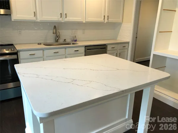 a kitchen with a sink a stove and cabinets