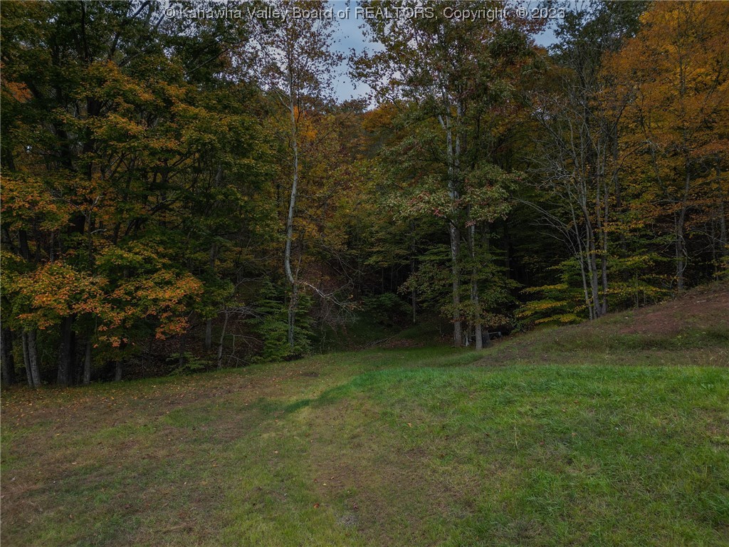 1518 Medina Road Ravenswood, WV 26164 - Photo 16 of 27 Gallery Image 16
