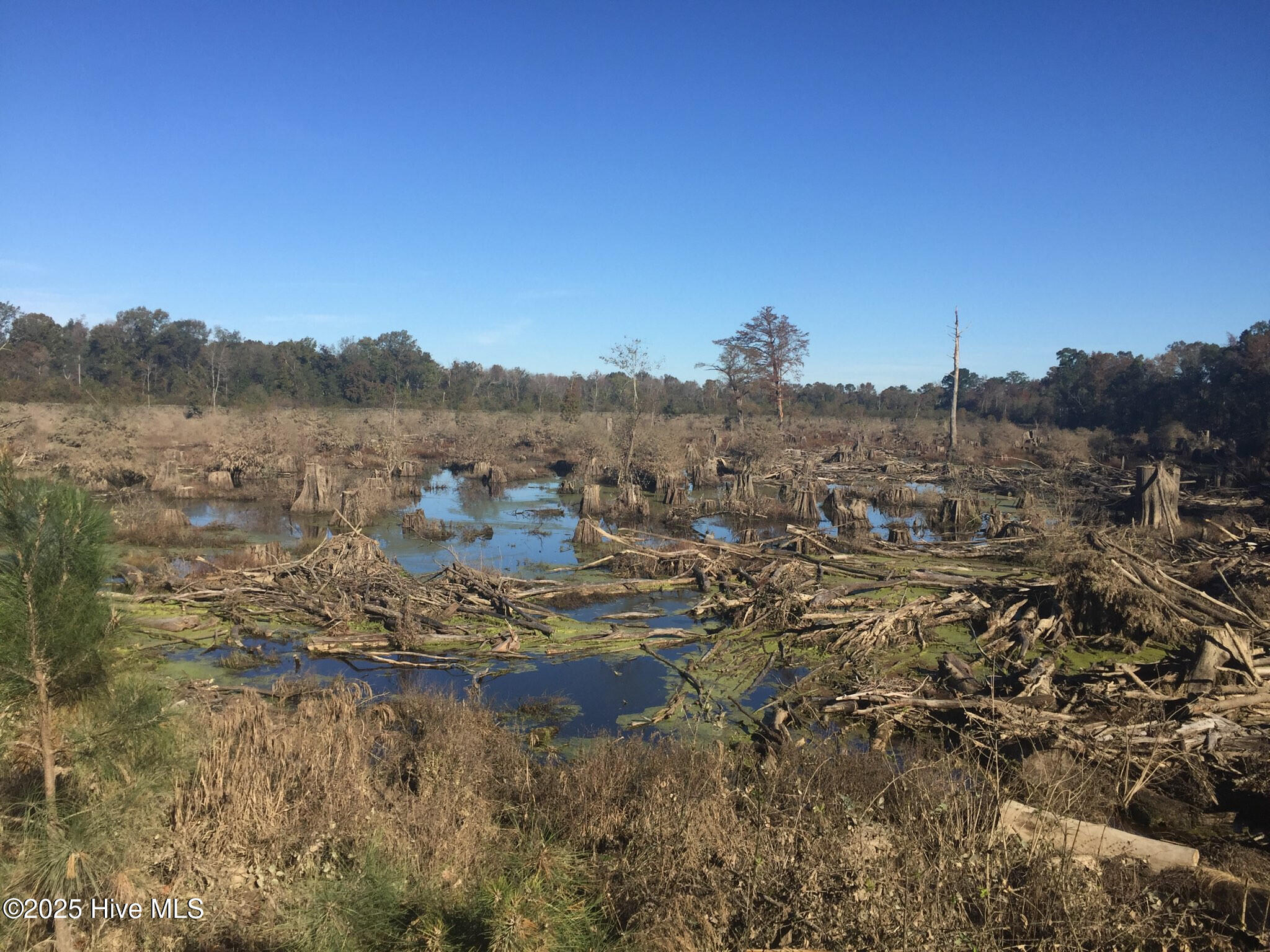 1064 Stevens Mill Road Goldsboro, NC 27530 - Photo 11 of 12 16) 56170-6808e8371d3b8