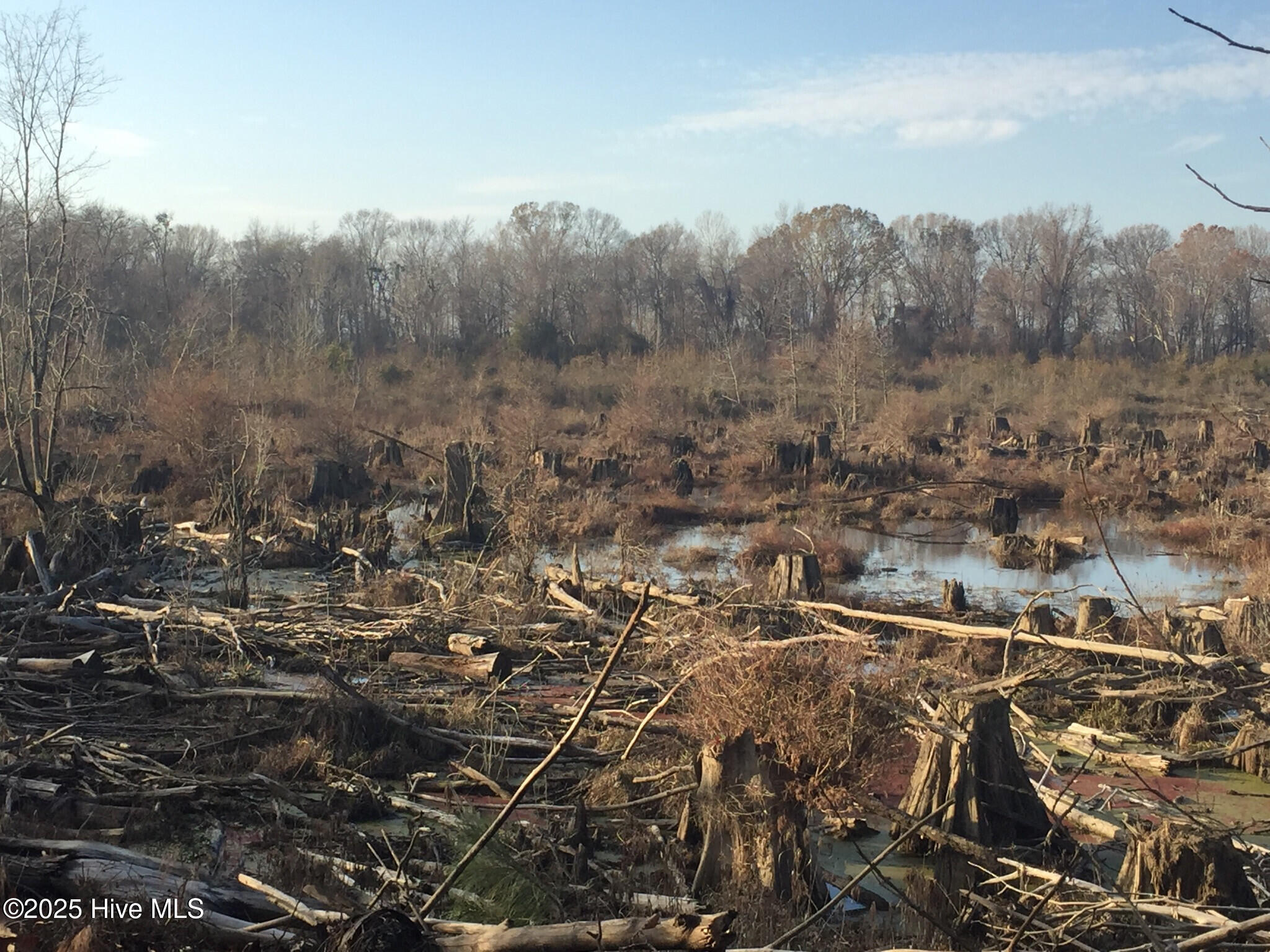 1064 Stevens Mill Road Goldsboro, NC 27530 - Photo 12 of 12 18) 56170-6808e83757999
