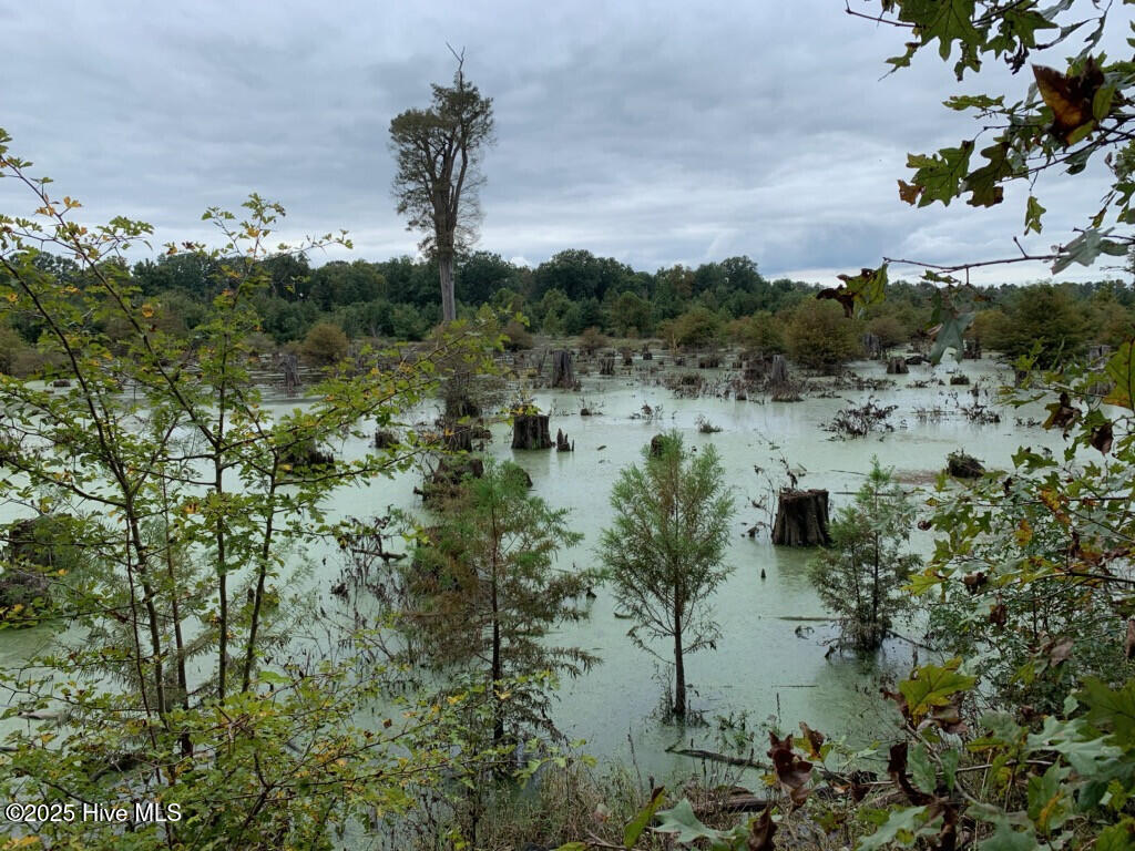 1064 Stevens Mill Road Goldsboro, NC 27530 - Photo 4 of 12 8) 56170-6800d965081c5