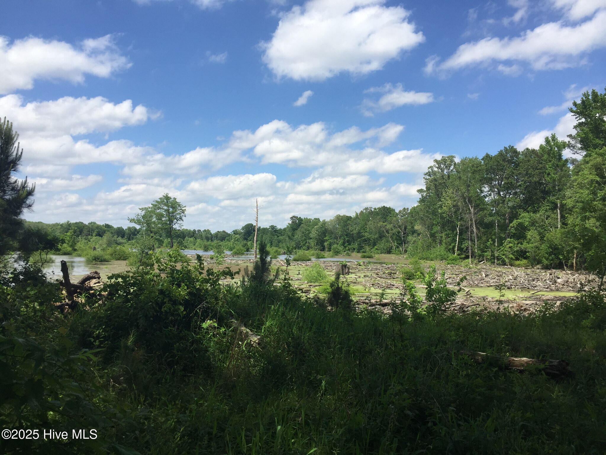 1064 Stevens Mill Road Goldsboro, NC 27530 - Photo 5 of 12 9) 56170-6804d0c40adaa