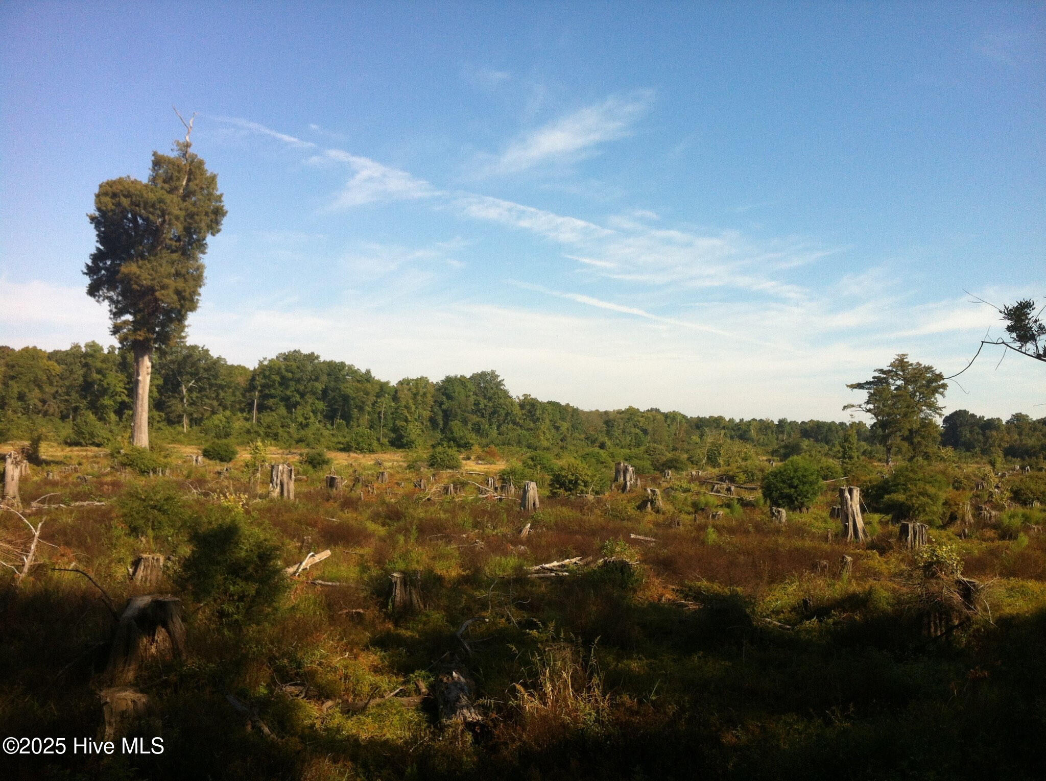 1064 Stevens Mill Road Goldsboro, NC 27530 - Photo 6 of 12 11) 56170-6804d10d8dffa