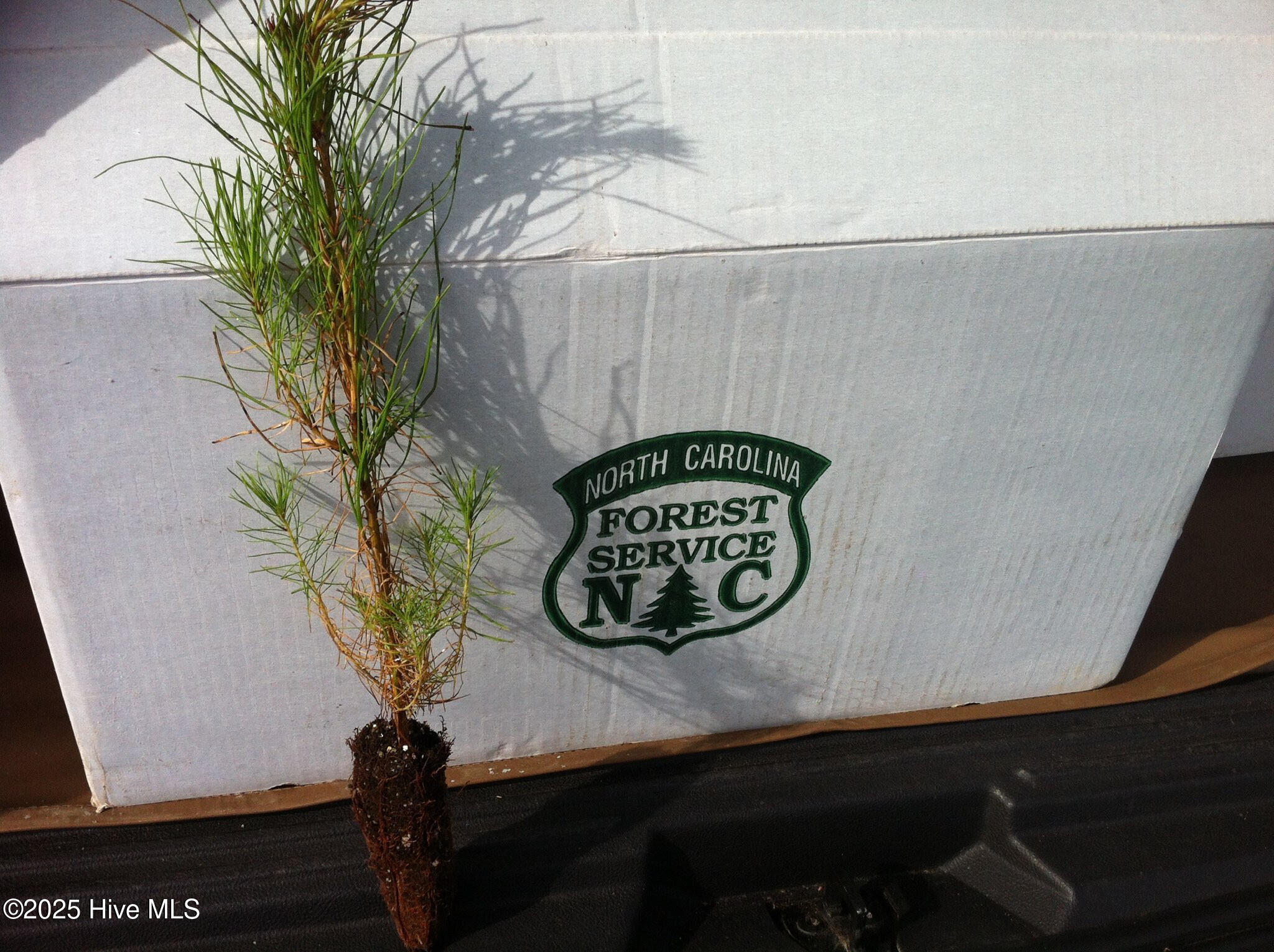 1064 Stevens Mill Road Goldsboro, NC 27530 - Photo 7 of 12 12) 56170-6804d10dd80f2