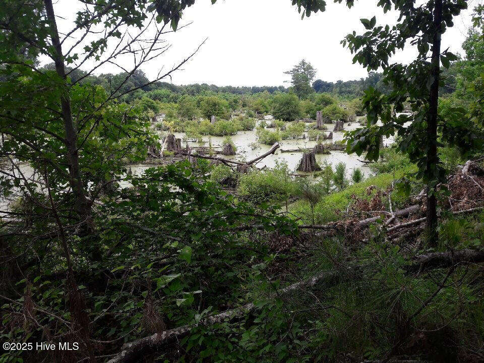 1064 Stevens Mill Road Goldsboro, NC 27530 - Photo 10 of 12 15) 56170-6808e83718fb3