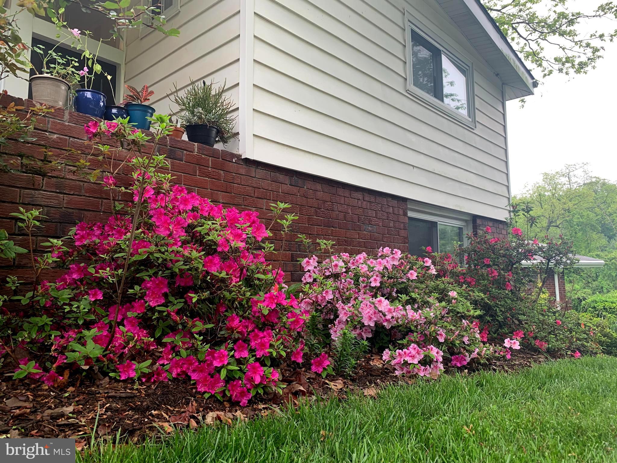 5818 Stuart Avenue Baltimore, MD 21215 - Photo 49 of 64 Lovingly landscaped with seasonal colors!