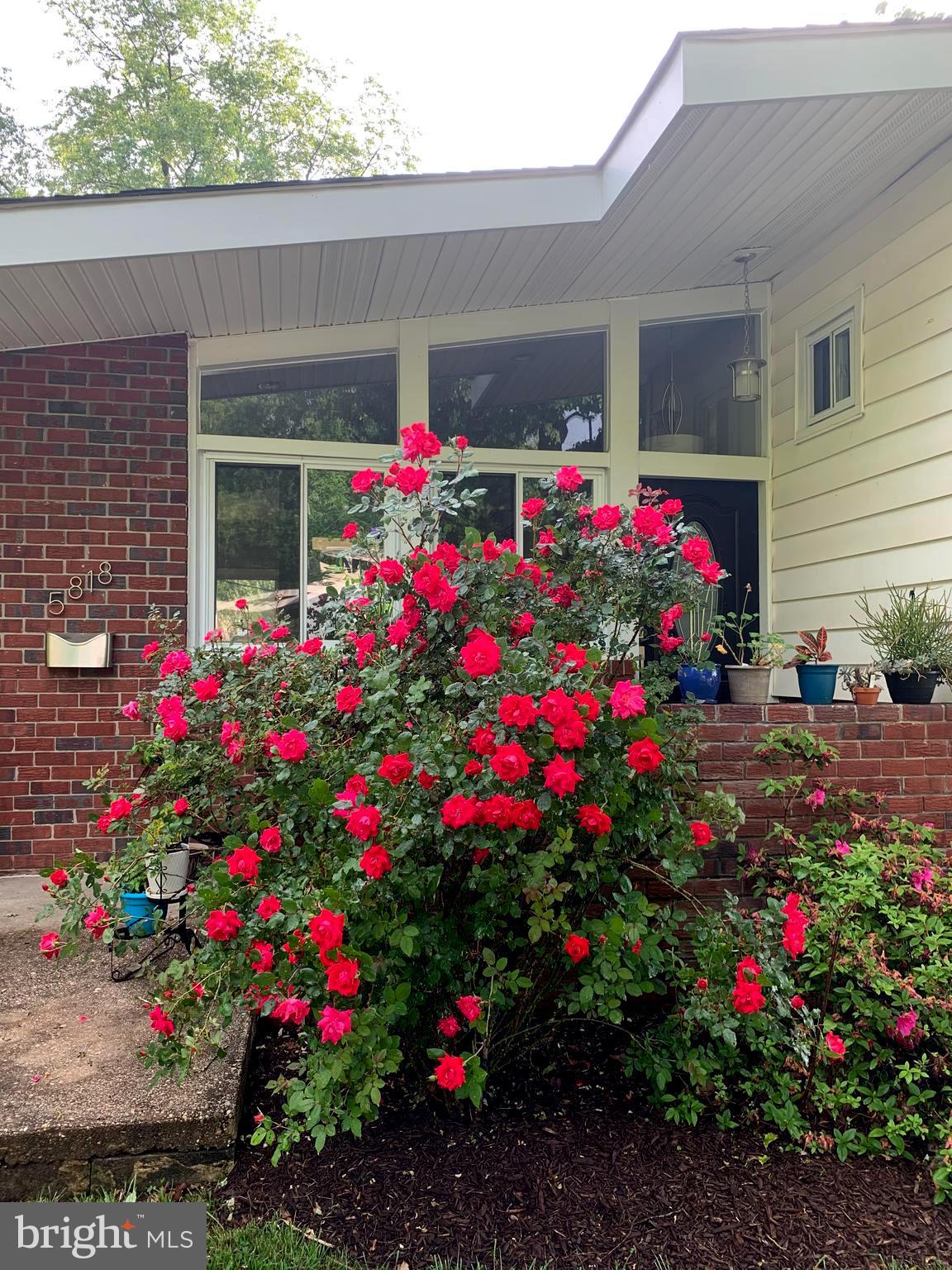 5818 Stuart Avenue Baltimore, MD 21215 - Photo 50 of 64 Lovingly landscaped with seasonal colors!