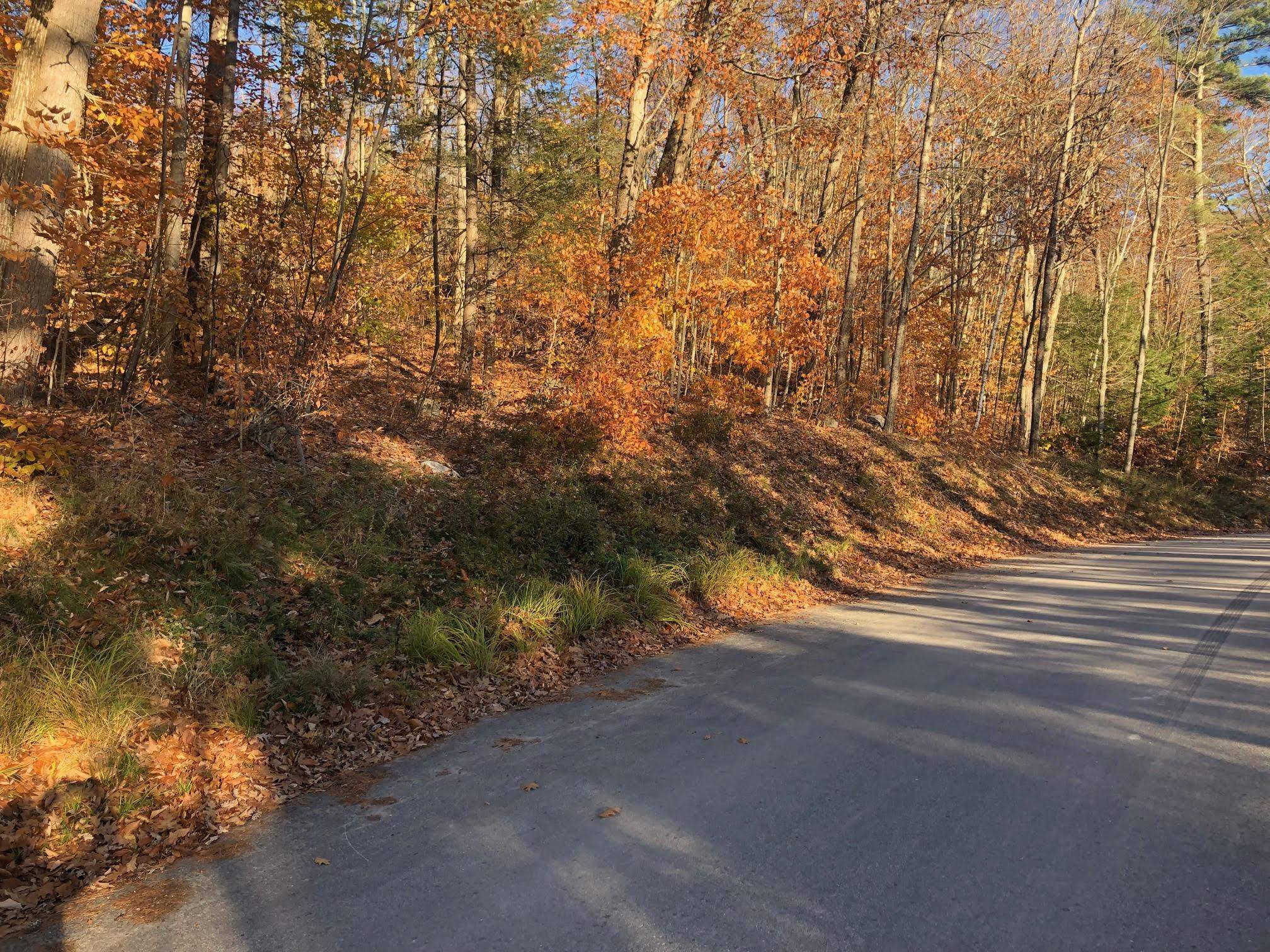 70-61-63 Sunset Shore Dr  