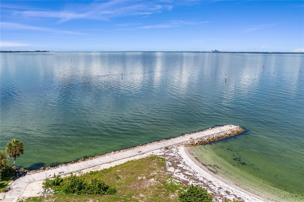 1317 Jumana Loop Apollo Beach, FL 33572 - Photo 92 of 99