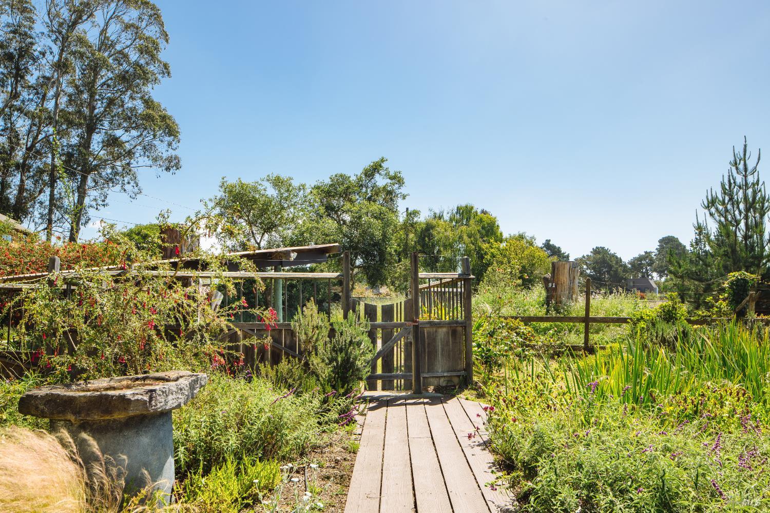 585 Evergreen Road Bolinas, CA 94924 - Photo 36 of 58