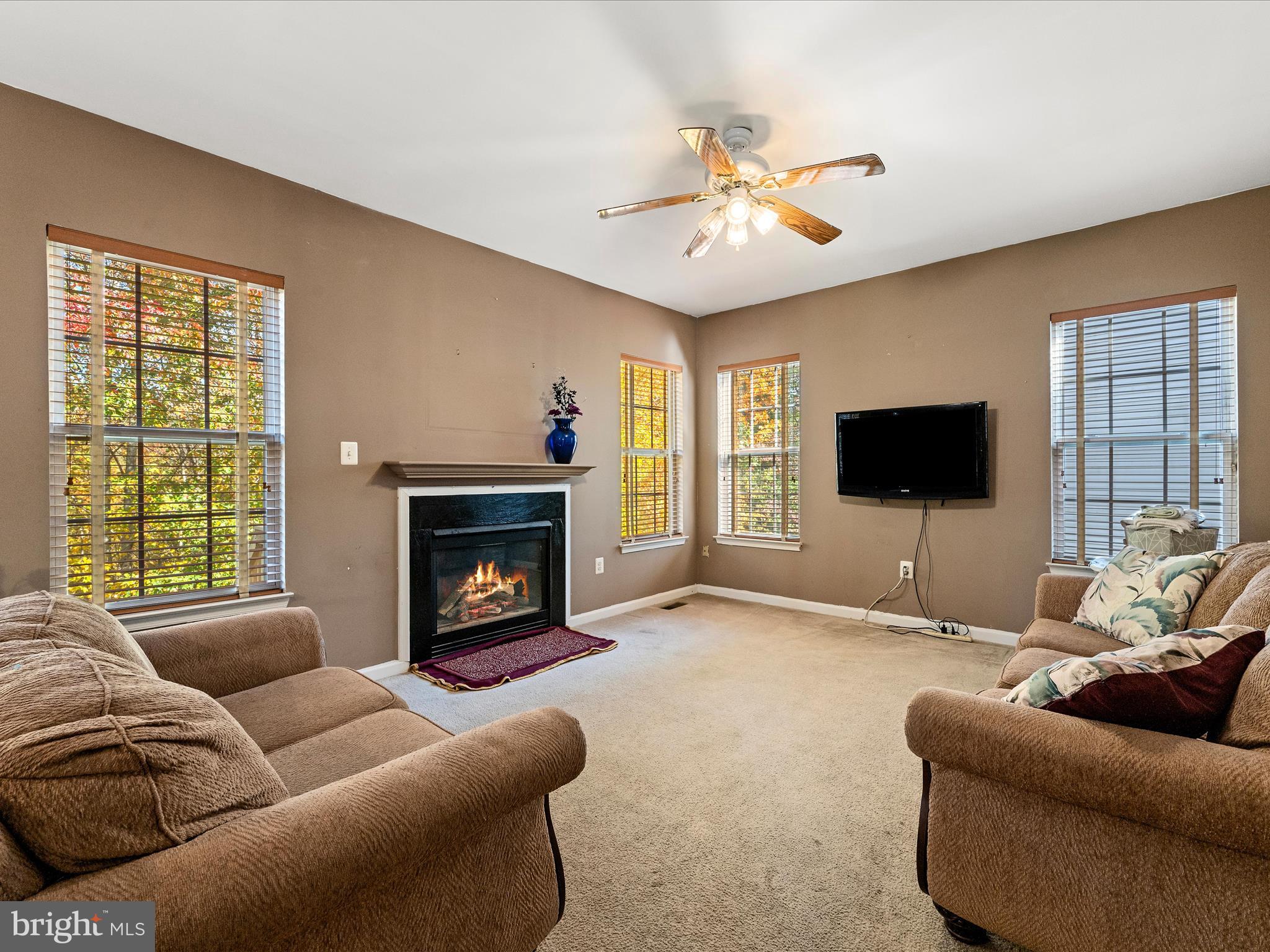 5540 Hobsons Choice Loop Manassas, VA 20112 - Photo 22 of 50 a living room with furniture a flat screen tv and a fireplace