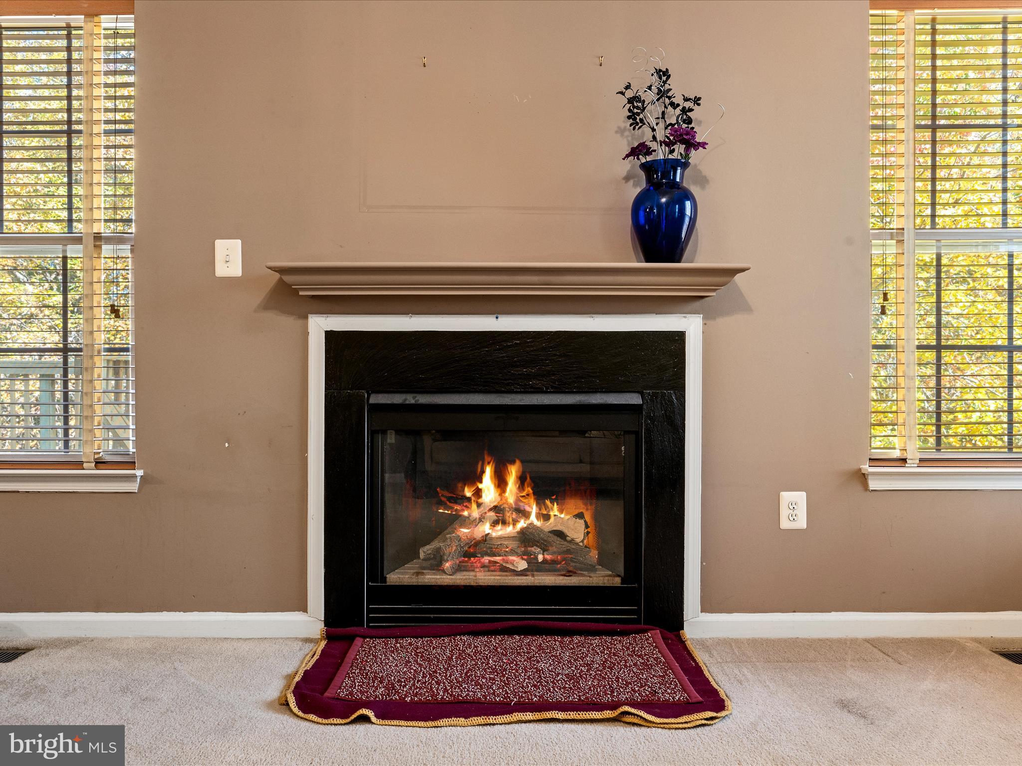 5540 Hobsons Choice Loop Manassas, VA 20112 - Photo 23 of 50 a living room with a fireplace and a fireplace