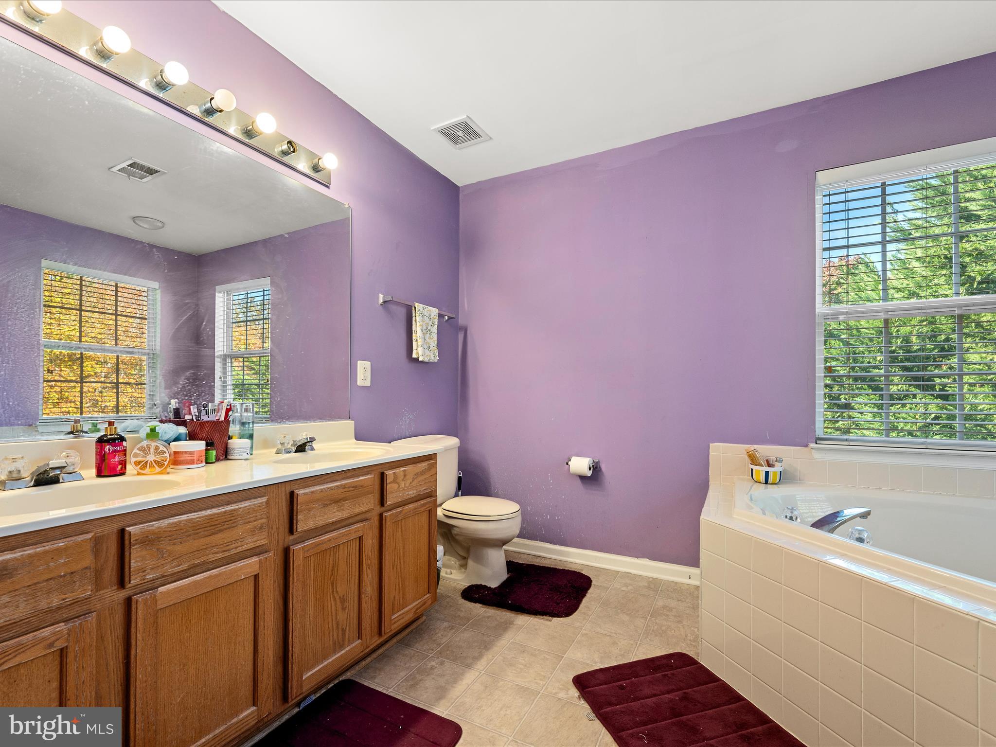 5540 Hobsons Choice Loop Manassas, VA 20112 - Photo 33 of 50 a bathroom with a sink mirror vanity bathtub and toilet