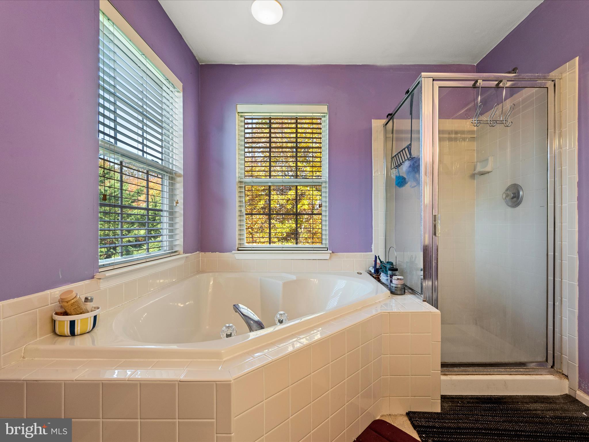 5540 Hobsons Choice Loop Manassas, VA 20112 - Photo 34 of 50 a bath tub sitting in a bathroom next to a window