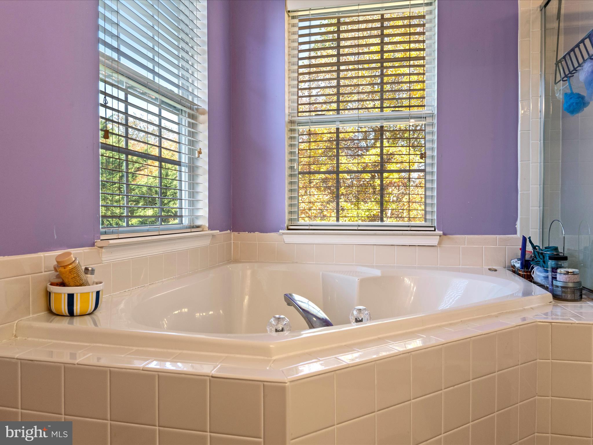 5540 Hobsons Choice Loop Manassas, VA 20112 - Photo 35 of 50 a bath tub sitting next to a window