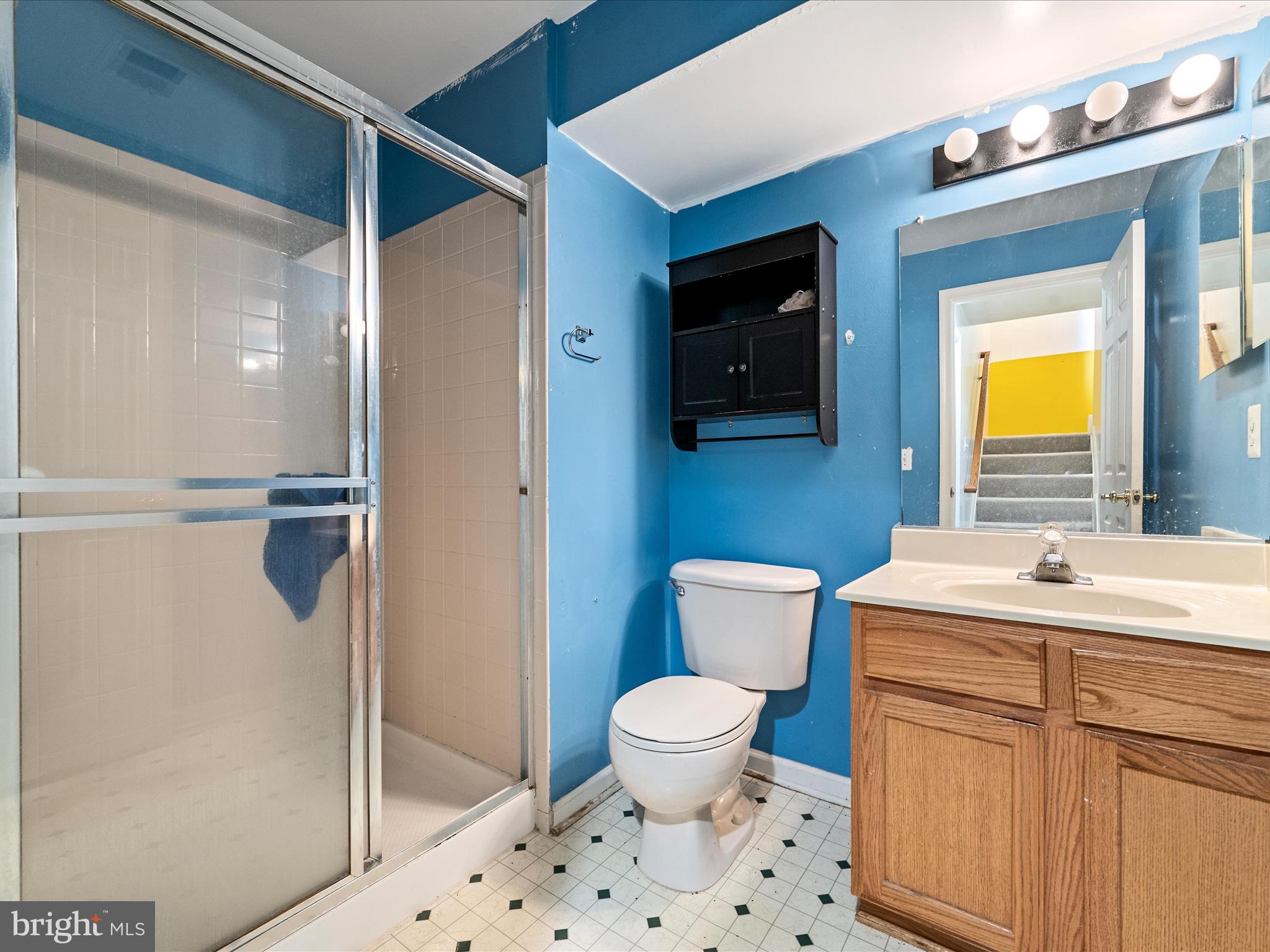 5540 Hobsons Choice Loop Manassas, VA 20112 - Photo 43 of 50 a bathroom with a sink a toilet a shower and a mirror