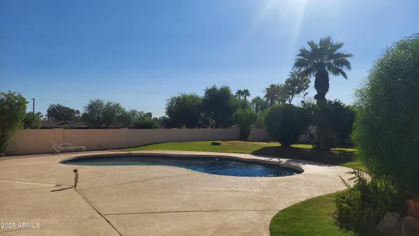 a view of a yard with plants and trees