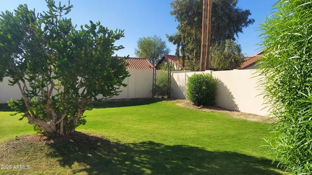 a view of a backyard