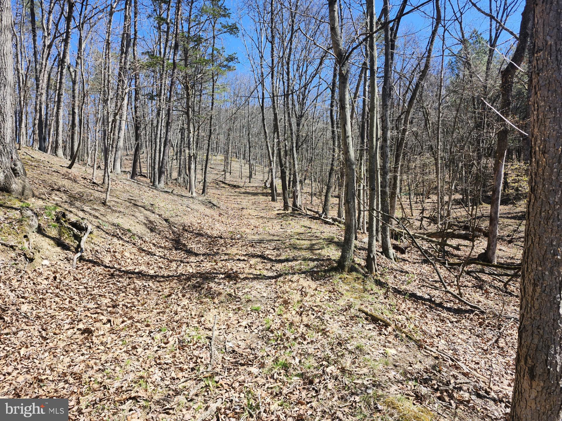 A J Kelley Road Old Fields, WV 26845 - Photo 35 of 65