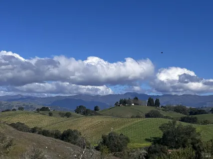 a view of a green field with mountains in the background
