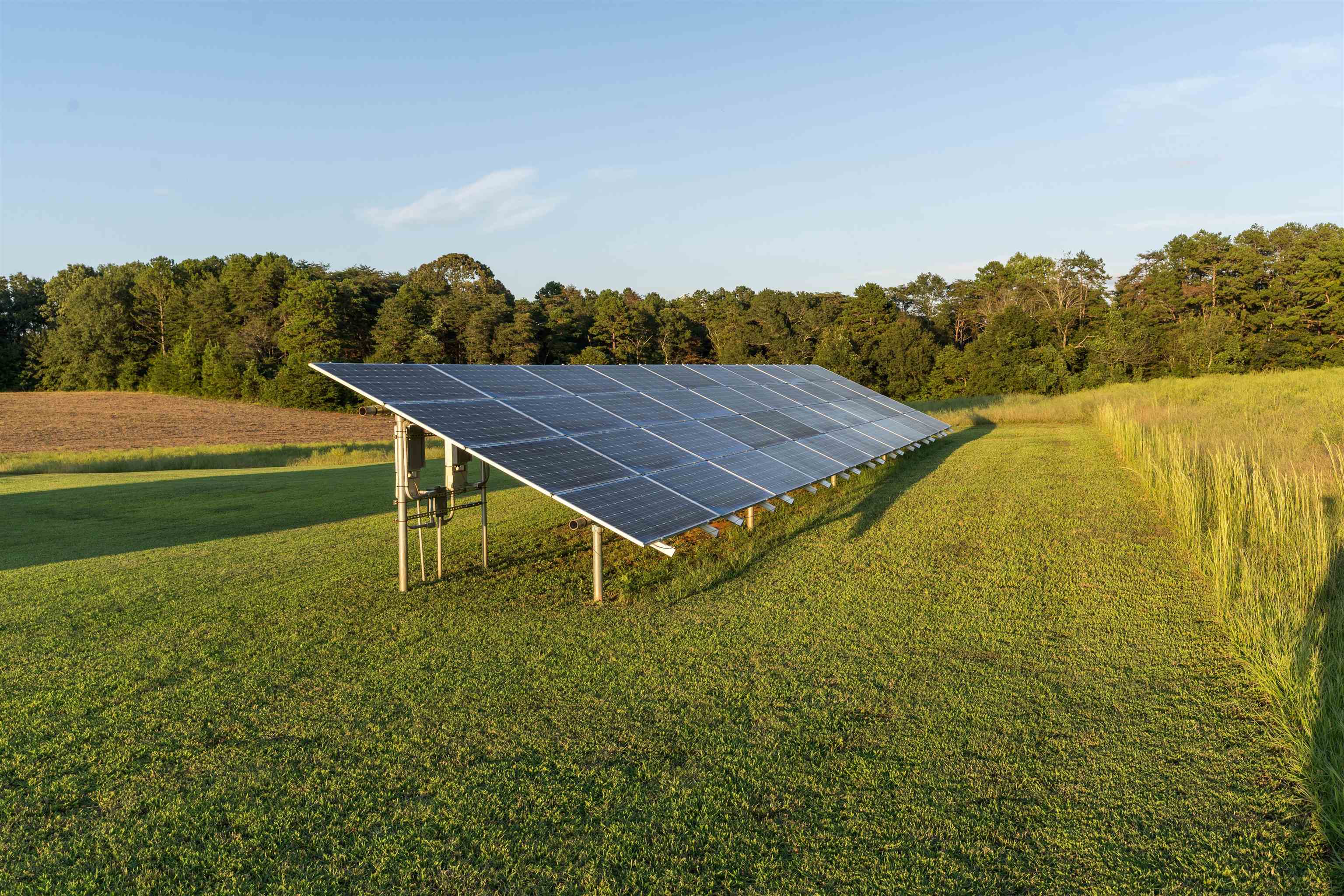 850 Turkey Farm Road Chesnee, SC 29323 - Photo 29 of 36
