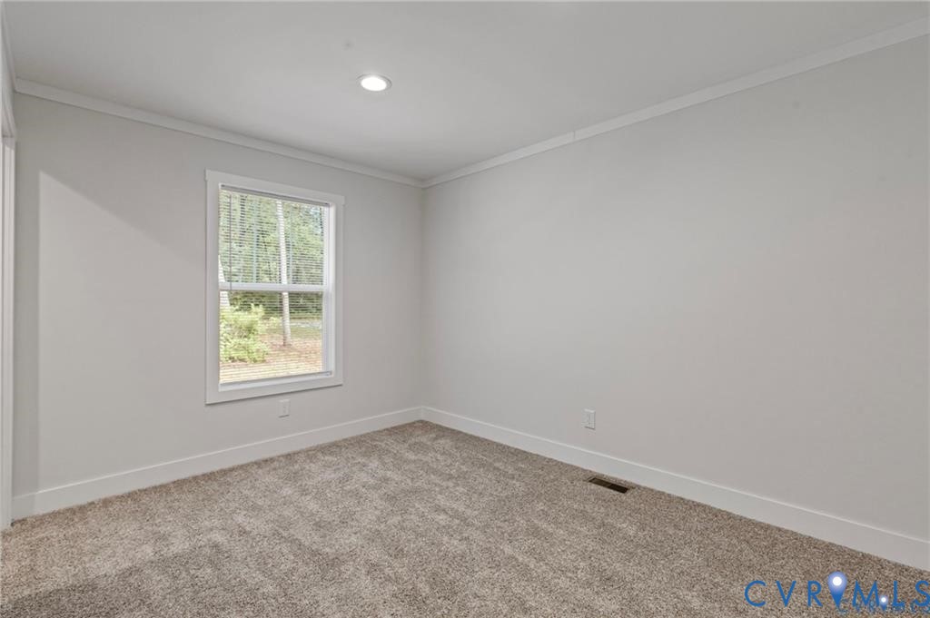 6584 Blenheim Road Powhatan, VA 23139 - Photo 18 of 31 Unfurnished room with crown molding and carpet flo