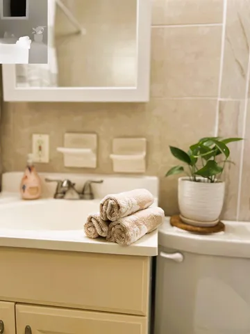 a view of a sink with a potted plant