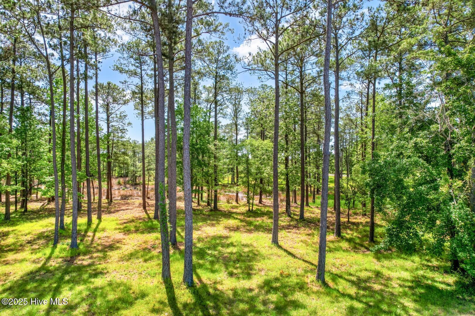 72 Oyster Point Road Oriental, NC 28571 - Photo 53 of 55 72 Oyster Point Road 38 (7)