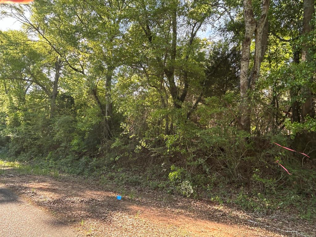 Lot 6-3 -ac Cty Road Newville, AL 36353 - Photo 15 of 24