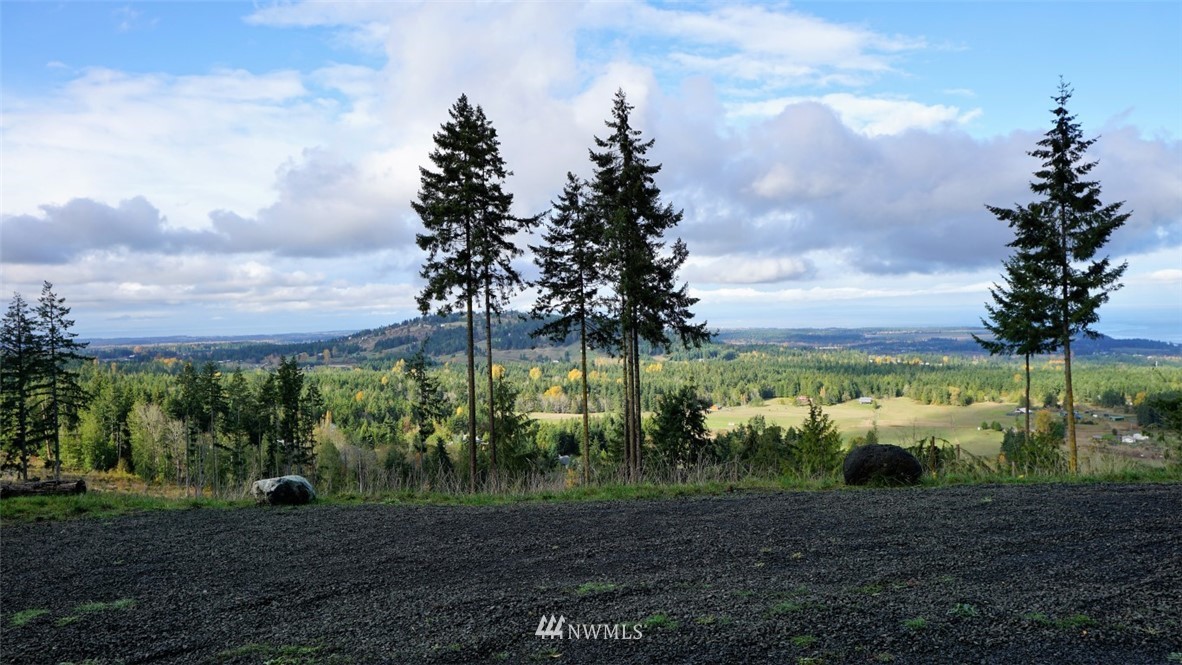 767 Louella Heights Road Sequim, WA 98382 - Photo 3 of 18 a view of a garden with a tree in front of the house