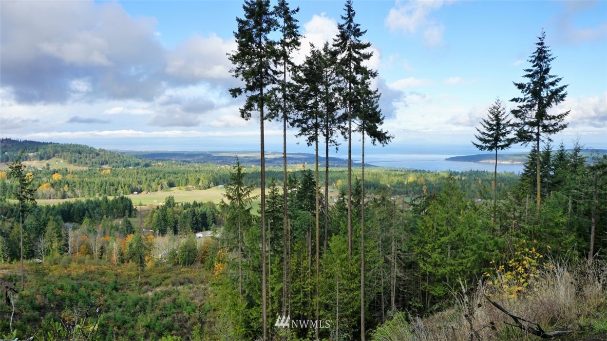 767 Louella Heights Road Sequim, WA 98382 - Photo 8 of 18 a view of a garden