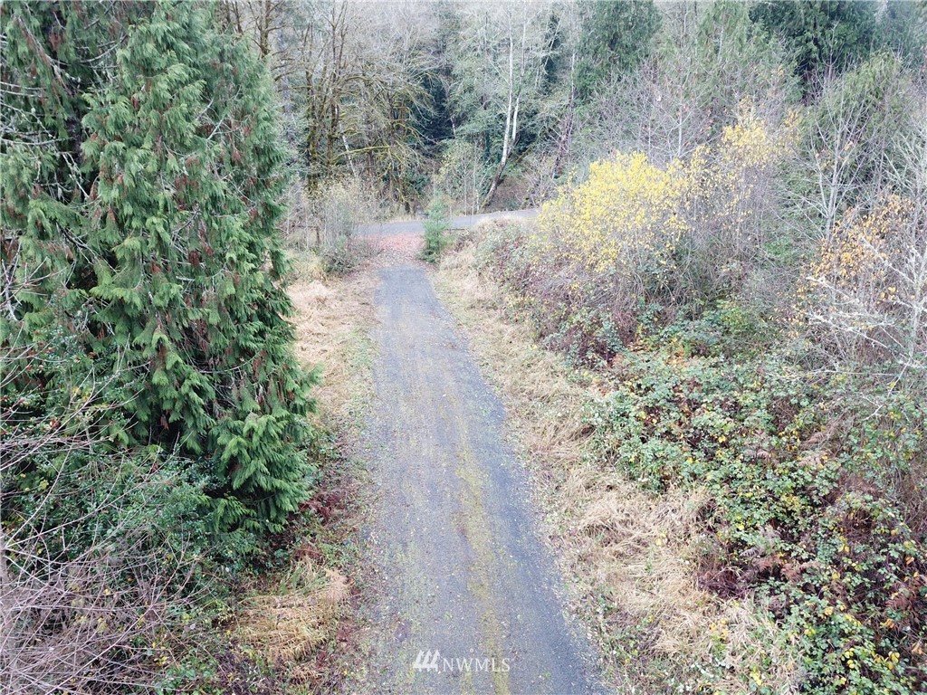 140 Roe Road Winlock, WA 98596 - Photo 3 of 9 a view of a yard with a tree