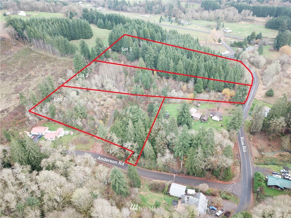 140 Roe Road Winlock, WA 98596 - Photo 5 of 9 a view of outdoor space