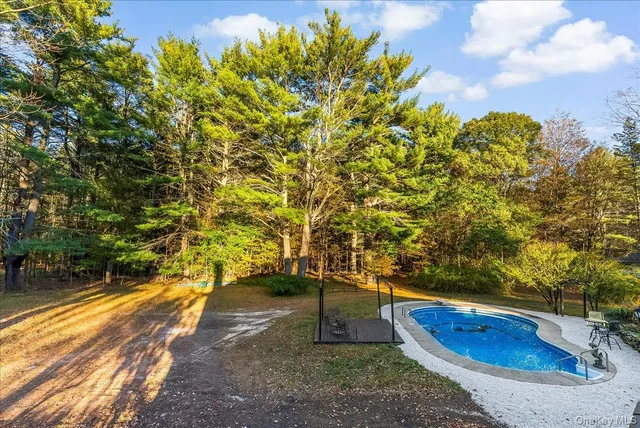 a view of swimming pool with trees in the background