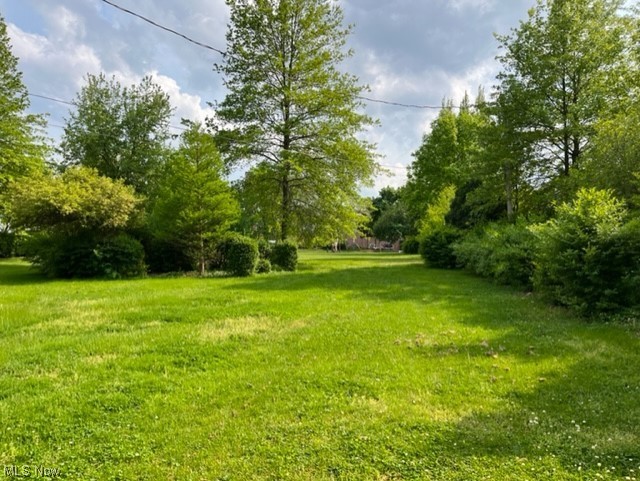 15901 Onaway Road Cleveland, OH 44120 - Photo 2 of 4 Lot from rear of property looking south