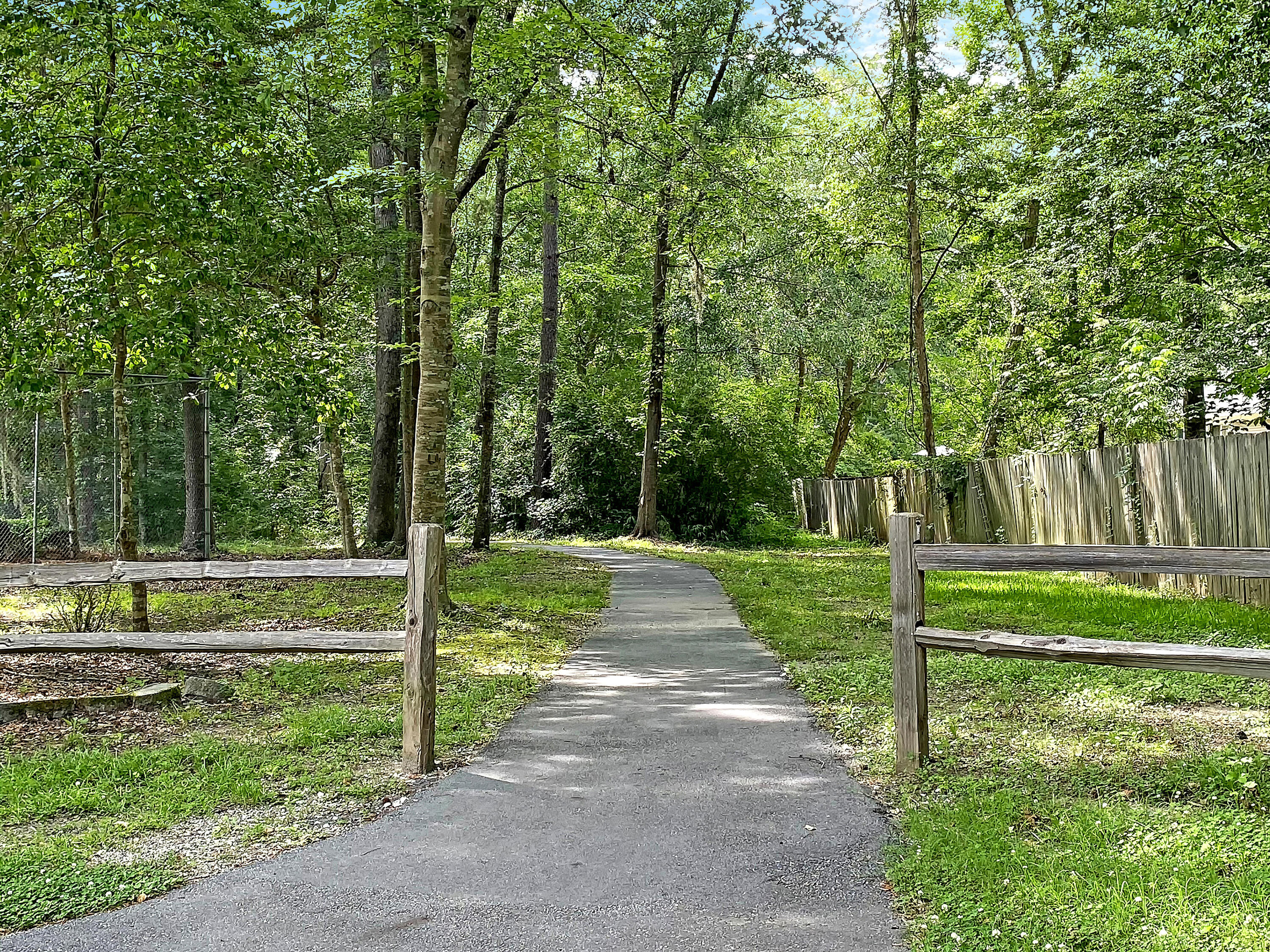210 Hamlet Road Summerville, SC 29485 - Photo 42 of 42 Brandymill
