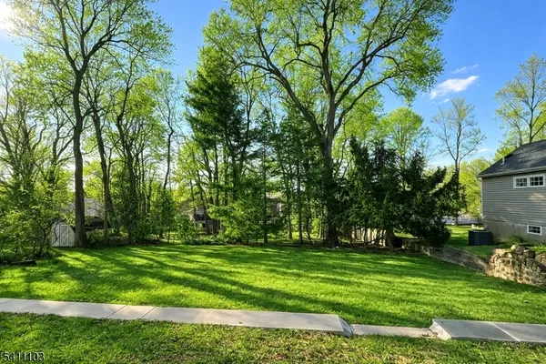 a view of green field