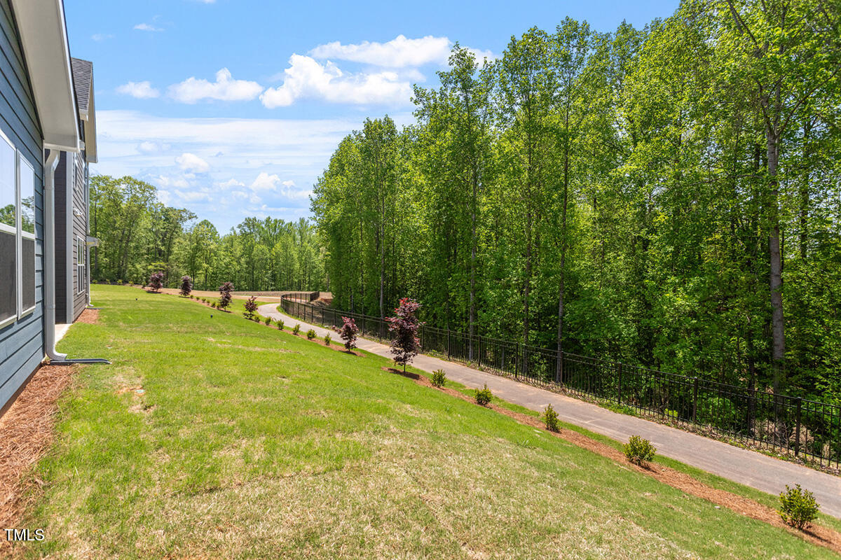 119 Augusta Pond Way, Unit 147 Raleigh, NC 27603 - Photo 31 of 37 a view of a big yard with large trees