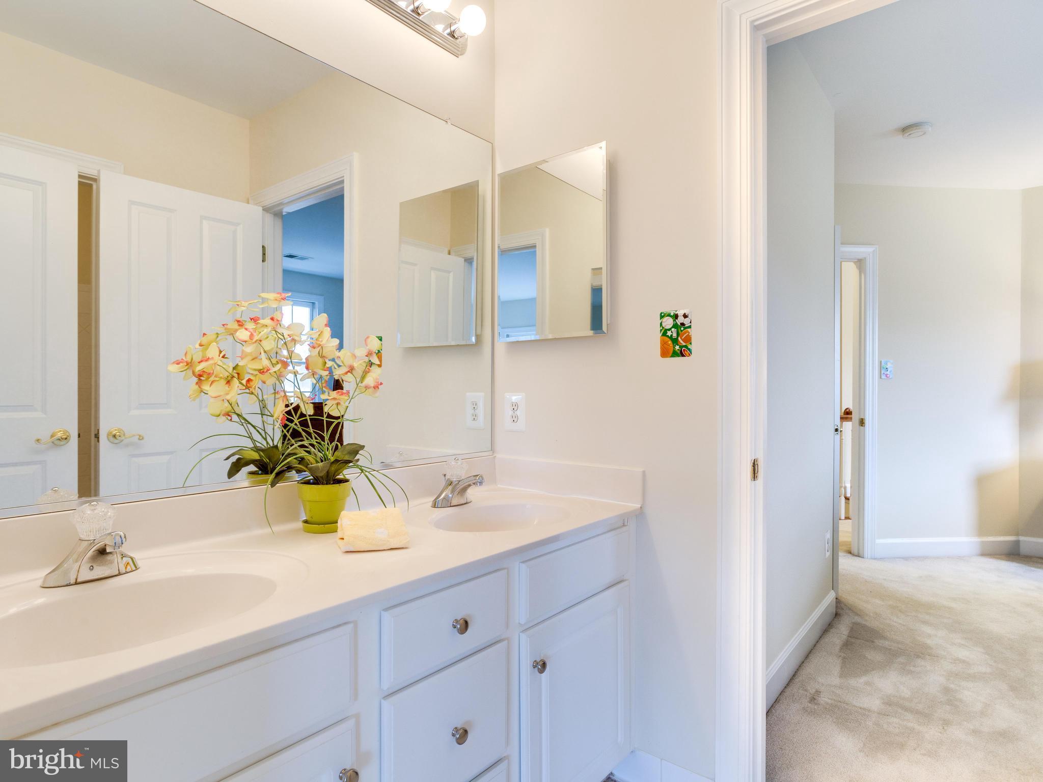 1406 Stanbridge Place Vienna, VA 22182 - Photo 23 of 30 a bathroom with a sink and a mirror