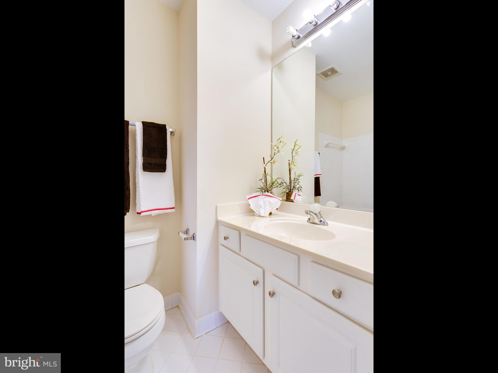 1406 Stanbridge Place Vienna, VA 22182 - Photo 24 of 30 a bathroom with a sink and a mirror with toilet