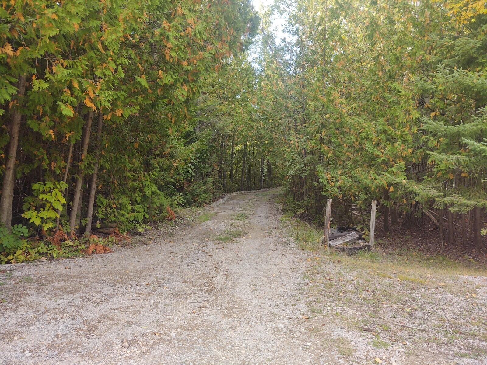 19408 Evergreen Road Presque Isle, MI 49777 - Photo 6 of 7 Gallery Image 6