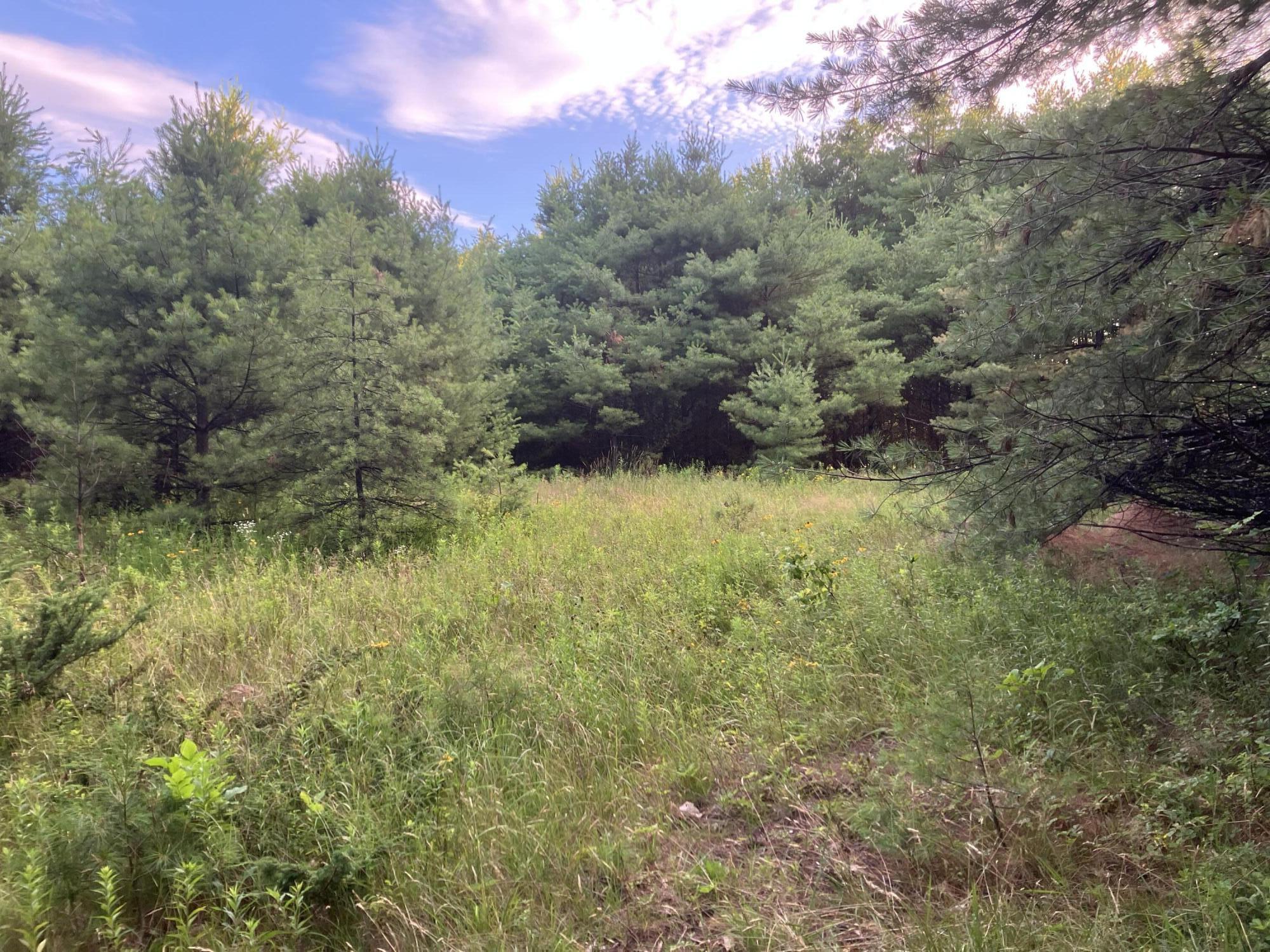 0 Isaac Stevens Road Bridgton, ME 04009 - Photo 1 of 15 Field