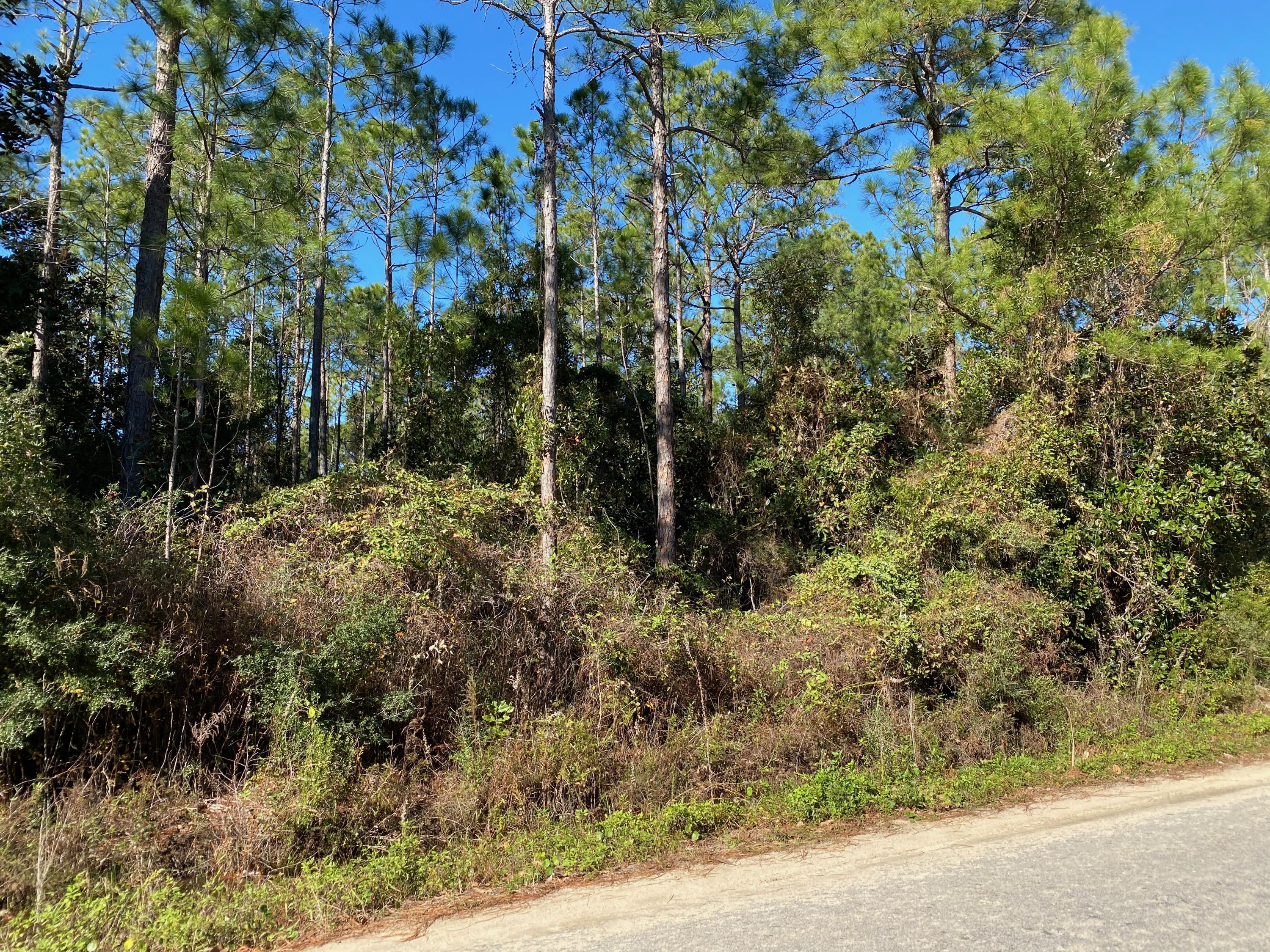 Lot 7 13th Street Santa Rosa Beach, FL 32459 - Photo 1 of 4 IMG_3662