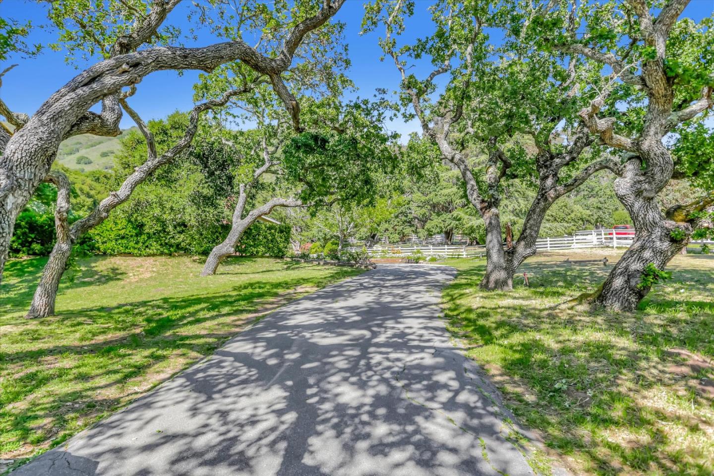 22 La Rancheria Carmel Valley, CA 93924 - Photo 44 of 44 a view of a garden with a tree