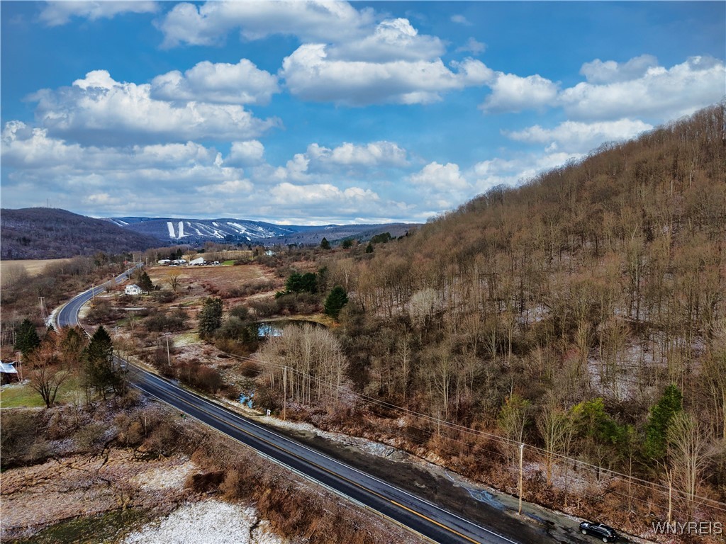6010 Nys Route Ellicottville, NY 14731 - Photo 7 of 9