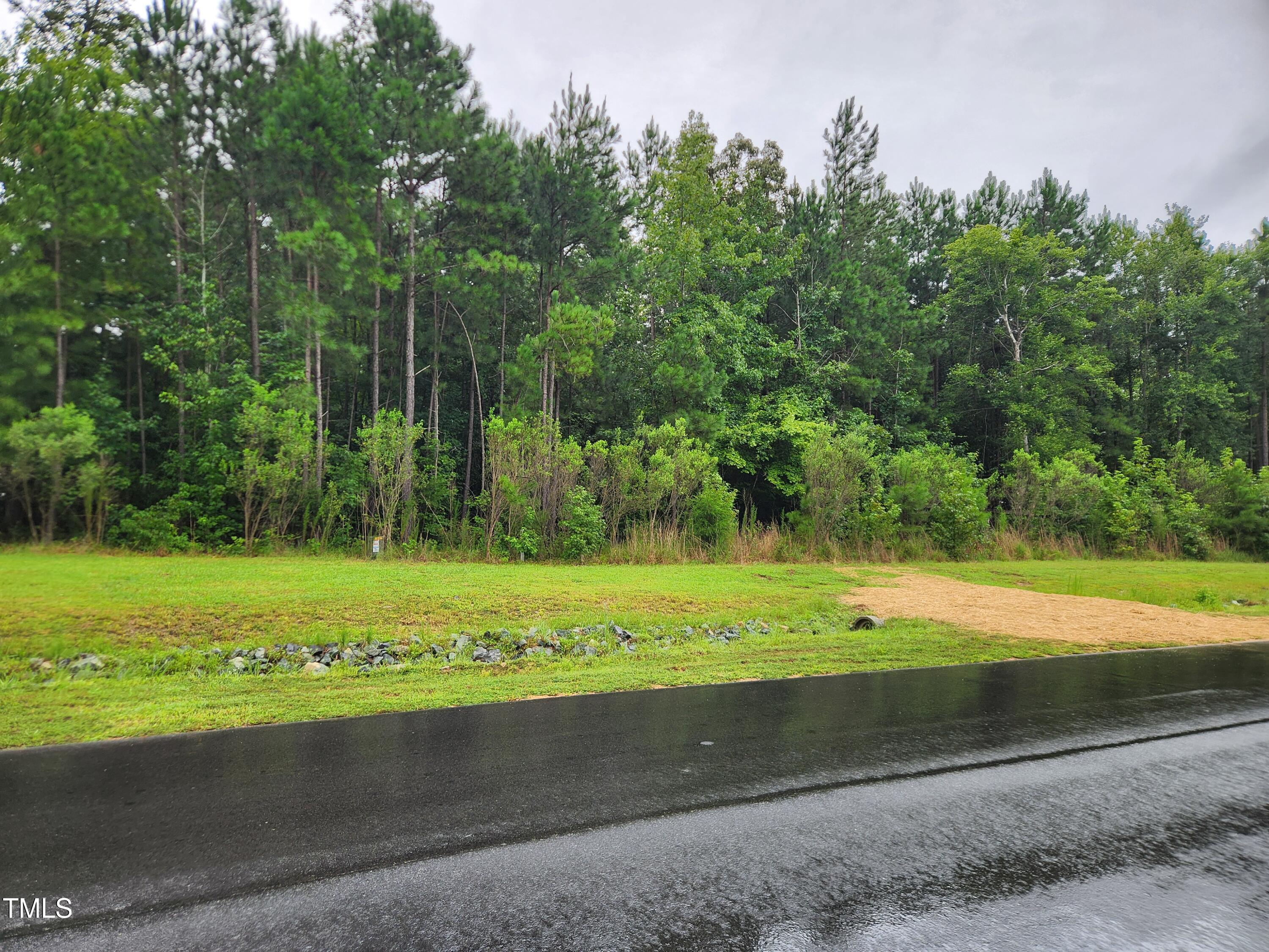 1278 Cedar Grove Road Pittsboro, NC 27312 - Photo 3 of 7 a view of a park