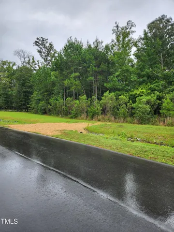 a view of a grassy field with trees