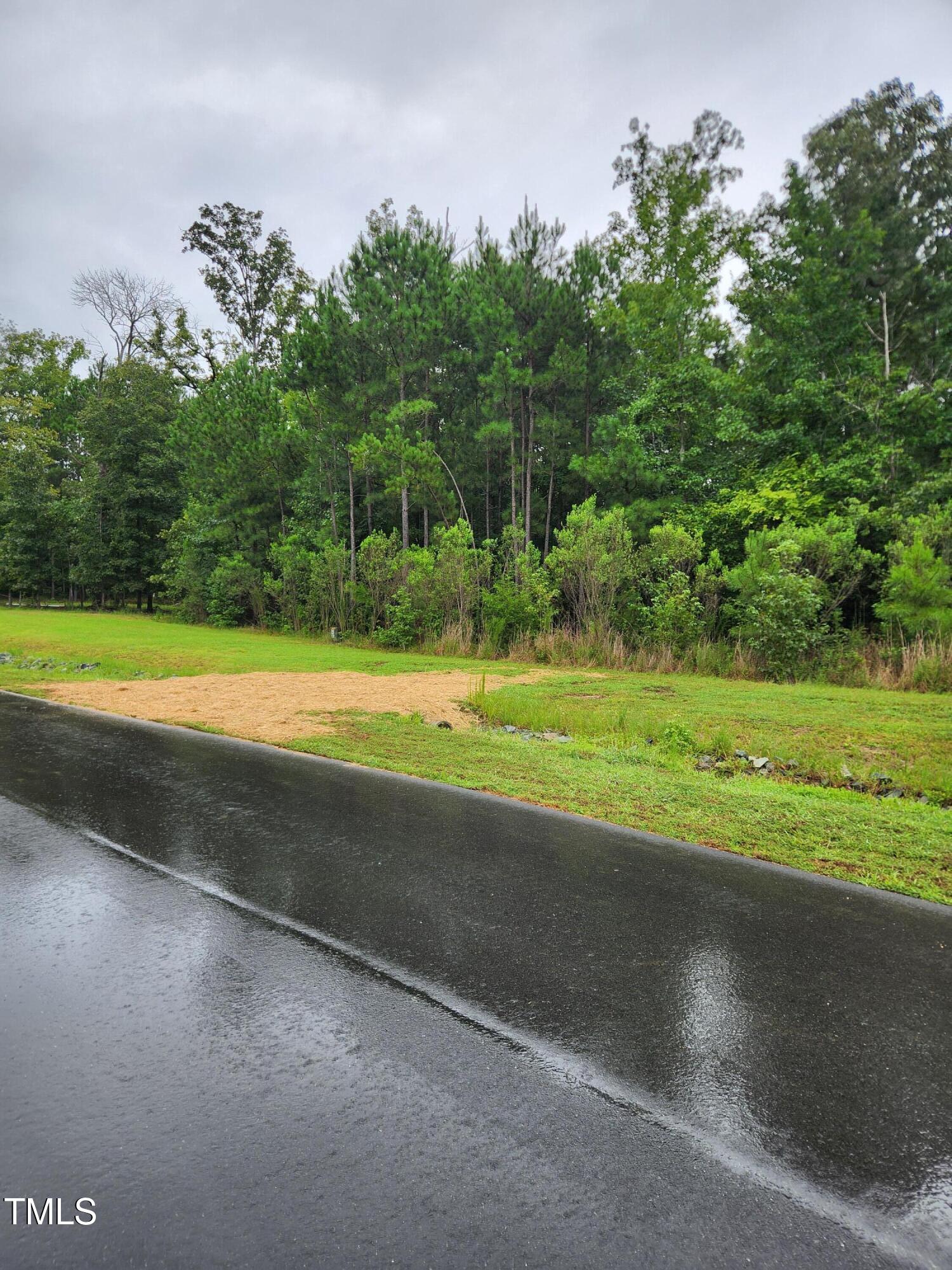 1278 Cedar Grove Road Pittsboro, NC 27312 - Photo 4 of 7 a view of a golf course with a trees
